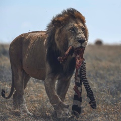 Кайрат Кайратов, 05.11