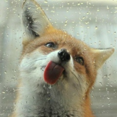 Юлия Вакуленко, 10.06.2008, Одинцово