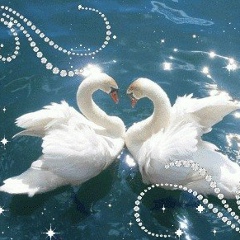 Эльмира Акимбаева, 21.11.1991, Алматы