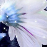 Оксана Случевская, 29.01, Кривой Рог