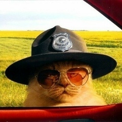 Константин Тапочкин, 07.04.1992, Санкт-Петербург