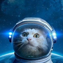 Кристина Шульц, Самара