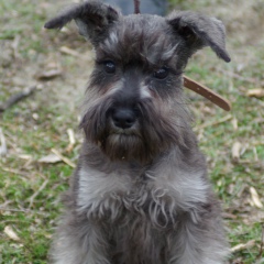 Елена Ландик, 21.12, Волгоград