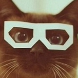 Максим Кирпичников, 01.08.1995, Пермь