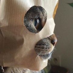 Виталий Молчанов