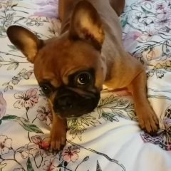 Елена Пестрикова, 21.04, Санкт-Петербург