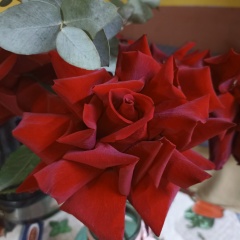 Инна Жданова, 14.03, Москва