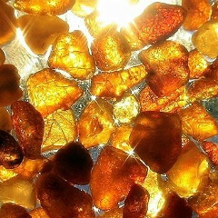 Людмила Навтанович, 26.09, Санкт-Петербург