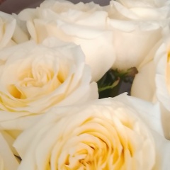 Ольга Сурикова, 01.02.1981, Санкт-Петербург