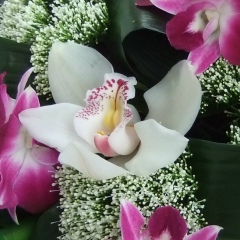 Рамиля Хабибрахманова, 23.06.1981