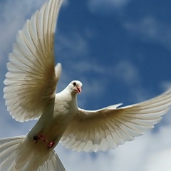 Иван Нужный, 01.12.1904, Старый Оскол