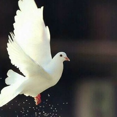 Алибек Избасаров, 24.09.1983, Астана