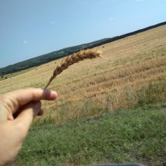 Вера Магомедова, 18.05.1994, Махачкала