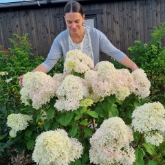 Евгения Осипенко, 26.12, Сертолово
