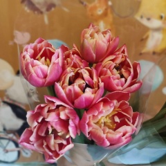 Дарья Кирюшина, Москва