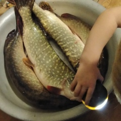 Владимир Титов, Воронеж