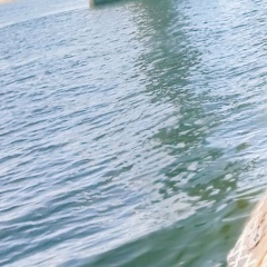 Светлана Кирьян