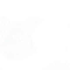 Максут Динмухамбетов, 07.01.1992, Ставрополь