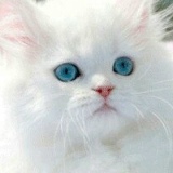 Ulbosin Aimanova, 28.12, Алматы