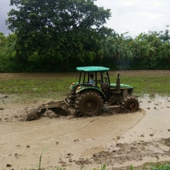 Naet-Minthar Lay, 01.02.2004