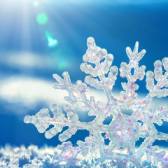 Рауан Бактыбаев, 01.01, Алматы