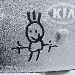 Федя Шмелев, 08.04.1978, Самара