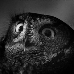 Оксана Дубанова, 25.08.1990, Москва