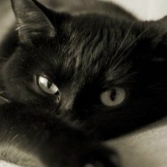 Катюня Гнутова, 26.11, Москва