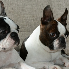 Ольга Куратова, Санкт-Петербург