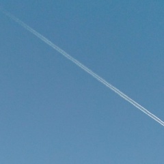 Фомина Ольга, 27.11