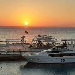 Елена Родина, 25.12.1978, Смоленск