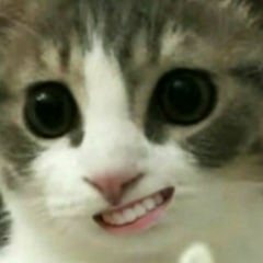 Сергей Санников, 30.12.1901, Нижний Новгород