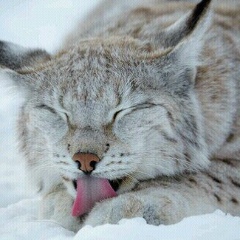 Татьяна Гаврилова, 10.12, Санкт-Петербург