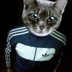 Боря Комеков, Егорьевск