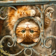 Оксана Гулевская, 10.08.1985, Шахты