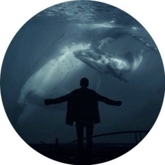 Алексей Токарев, 25.11.1980, Мирноград / Димитров