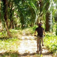 Артур Будько, 17.05