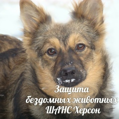 Ангелина Морозова, 01.08, Херсон