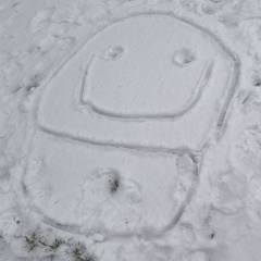 Ольга Перепелкина, Симферополь