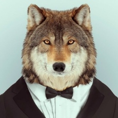 Алексей Волков, 04.04.1984, Красноярск