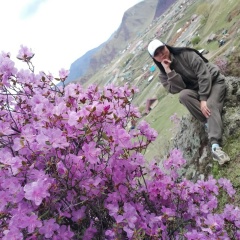 Динара Бакрасова, Горно-Алтайск