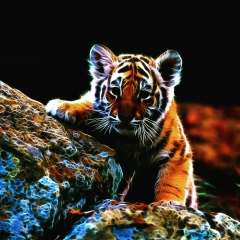 Ильяс Бейсенбаев, 31.12, Алматы