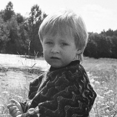 Михаил Медведев, Череповец