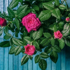 Банура Избасарова, 13.04.1991, Алматы