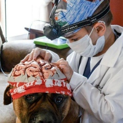 Рая Будаева, 27.11