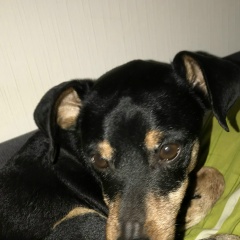 Галина Костина, 24.03, Санкт-Петербург