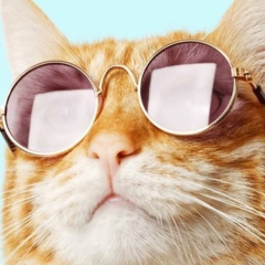 Тина Тина, 13.09.1982, Красноярск