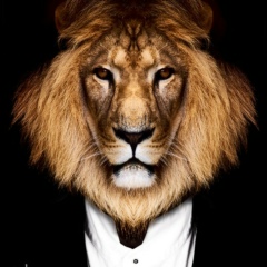 Арман Сейдалы, 19.06, Шымкент