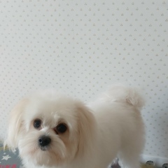 Игорь Кульшань, 24.10.1991, Волгоград