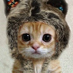 Serik Дуюсембаев, 03.05.1991